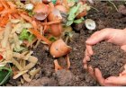 Compostagem ainda é quase nula no Brasil