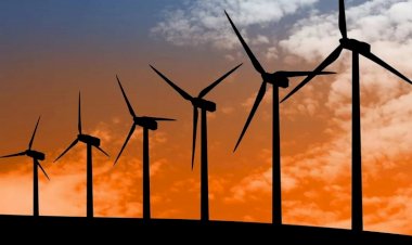 Bahia acumula 41 usinas eólicas e lidera mercado de energia renovável brasileiro