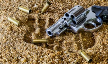 Senado aprova teste toxicológico para posse e porte de arma