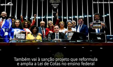 Senado Aprova: desoneração da folha salarial e mudanças na Lei de Cotas
