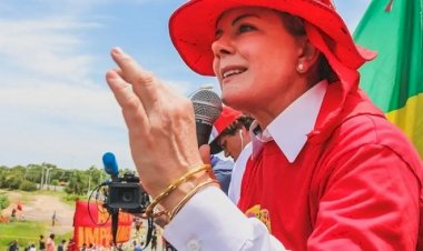 Gleisi, Dino e Felipe Neto engrossam onda de ataques contra jornalista