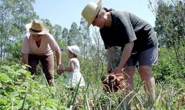 Lula sanciona lei que amplia Política Nacional da Agricultura Familiar