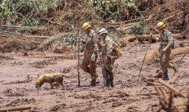 Proposta torna obrigatório estudo sobre gestão de risco de desastre na mineração