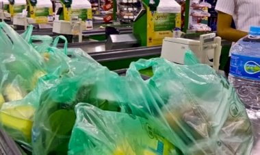 Fiscalização de sacolas recicláveis em Salvador é iniciada pela Codecon após vigência da nova lei