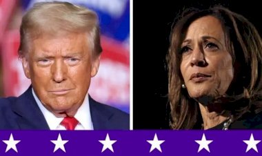 Trump é eleito presidente dos EUA: veja que Estados votaram no republicano ou em Kamala Harris
