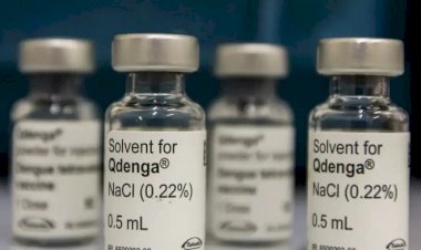OMS indica 17 doenças com prioridades máximas para que sejam desenvolvidas novas vacinas; confira lista