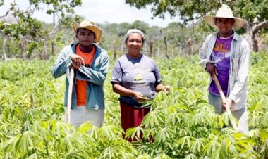 População rural supera urbana em 128 municípios baianos, aponta IBGE