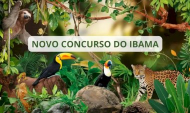 Com salários de até R$ 10.735, IBAMA tem novo concurso público com 460 vagas disponíveis para todos os estados e diversos níveis de escolaridade!
