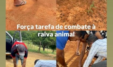 Secretaria de Saúde de Guanambi reforça orientação para vacinação em rebanhos, em regiões suspeitas de raiva animal