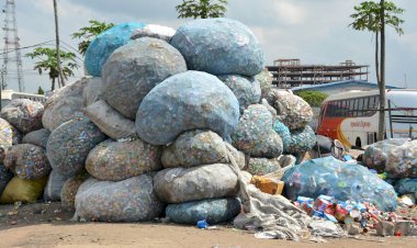 Com apenas 8% do lixo reciclado, Brasil encara desafios na coleta seletiva e aponta novos caminhos para 2025