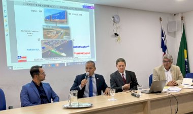 Entidades temem venda da Bamin à Vale
