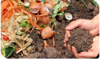 Compostagem ainda é quase nula no Brasil