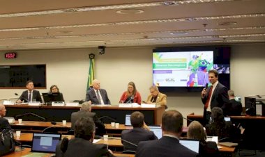 Parecer a favor da Política Nacional deve ser apresentado em agosto