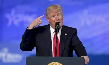 Trump poupa minério de ferro e ferro-gusa, mas taxa rochas ornamentais com 50%