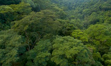 Publicada Lei do Licenciamento Ambiental, com 63 vetos