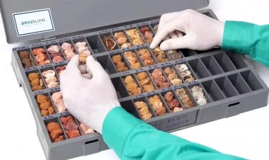 BRE poderá investir até R$ 3,6 bilhões para implantar polo de produção na Bahia