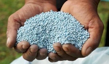 Câmara aprova R$ 10 bilhões em subsídios para novas plantas de produção