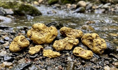 Governo prepara mudança na mineração artesanal