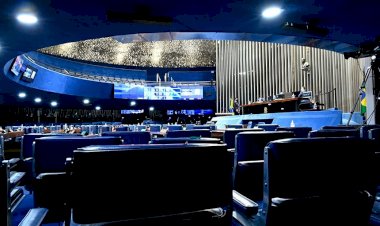 Eleitor votará em dois candidatos diferentes para o Senado em outubro