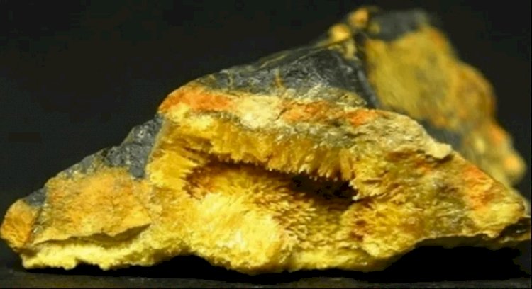 Após parcerias com iniciativas privadas, INB pretende explorar urânio para a sua mineração