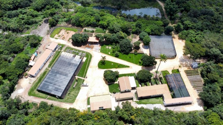 BAMIN inaugura Centro Veterinário em área de proteção ambiental e realiza primeira cirurgia ortopédica em coruja nativa da região