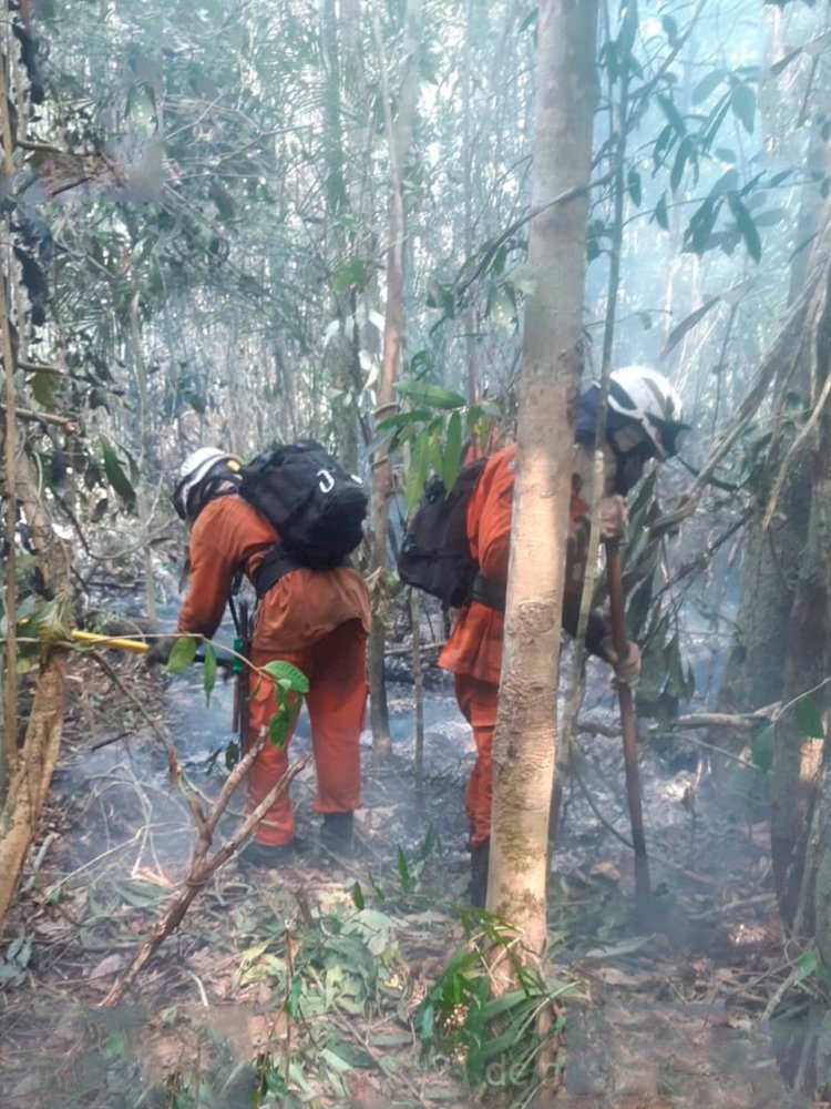 Base Florestal Sul conta com mais 50 bombeiros militares e 10 viaturas no apoio ao combate aos incêndios