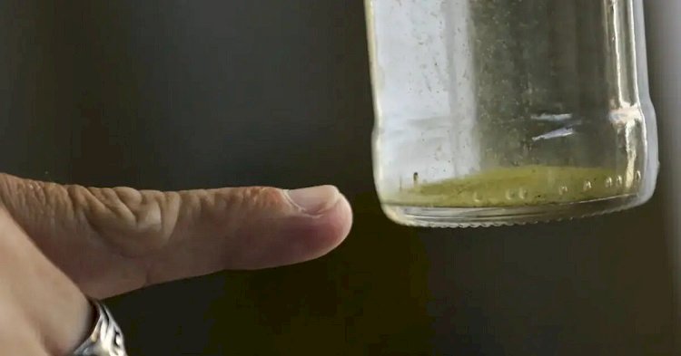Brasil ultrapassa 2 milhões de casos prováveis de dengue em 81 dias