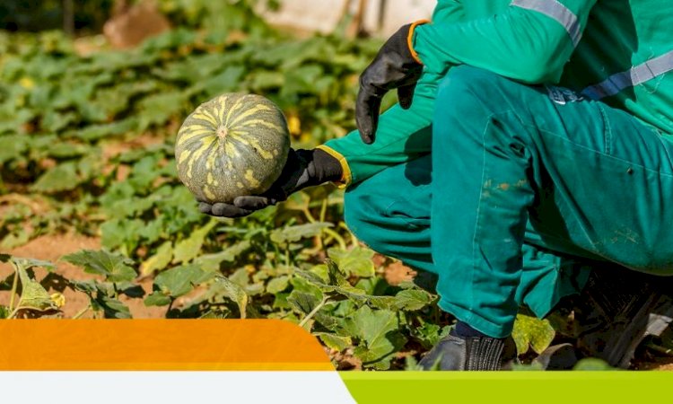 BAMIN realiza evento para impulsionar microempreendedores no interior da Bahia