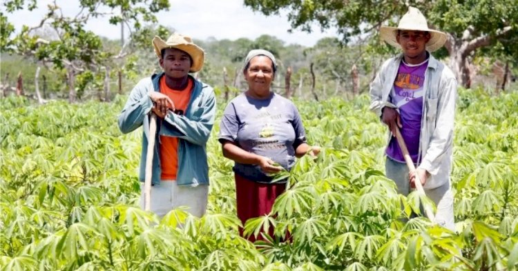 População rural supera urbana em 128 municípios baianos, aponta IBGE