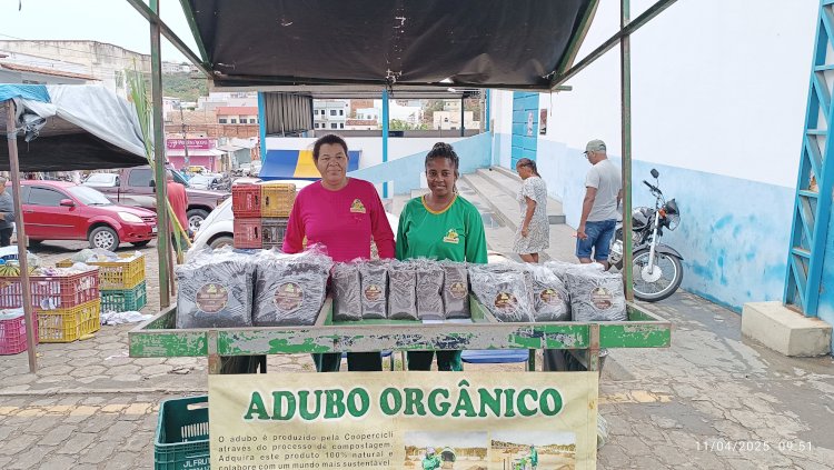 No sertão baiano, Caetité se torna a primeira cidade do interior do Brasil a coletar lixo orgânico nas residências