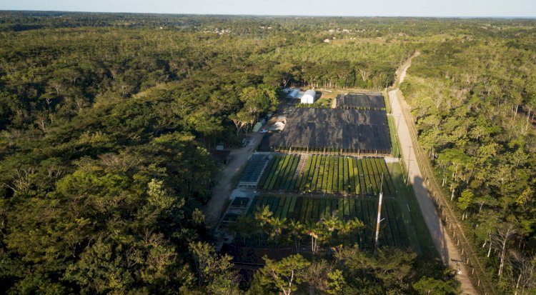 Fundo Clima: BNDES desembolsa R$ 26 mi à projeto da Symbiosis na Bahia, em operação com fiança bancária